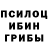 Галлюциногенные грибы ЛСД meleik. ru