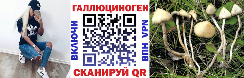 Галлюциногенные грибы мицелий  Пересвет 